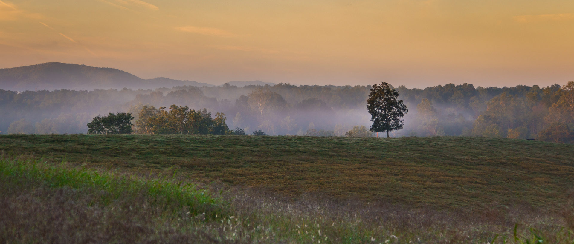 Crozet, Virginia