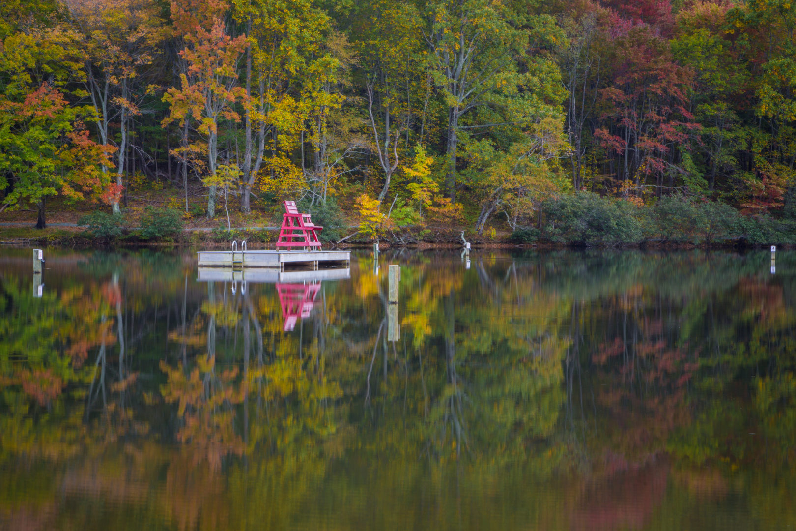 Mint Springs, Virginia